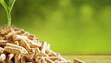 pellets background pflanze  pellets background pflanze